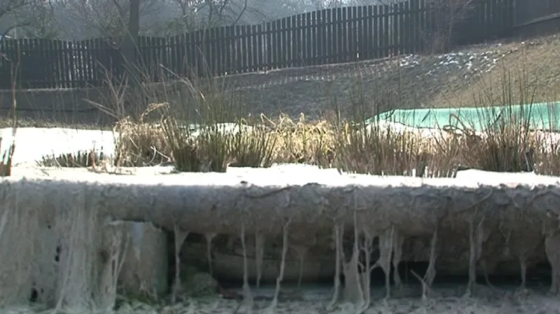 Biotop v Kyjově-Bohuslavicích