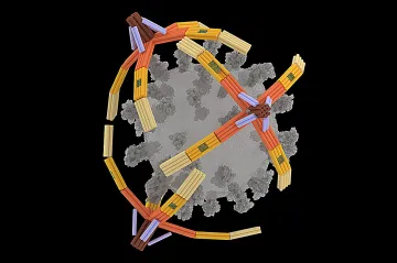 Miniaturní robotická ruka z DNA dokáže uchopit i virus