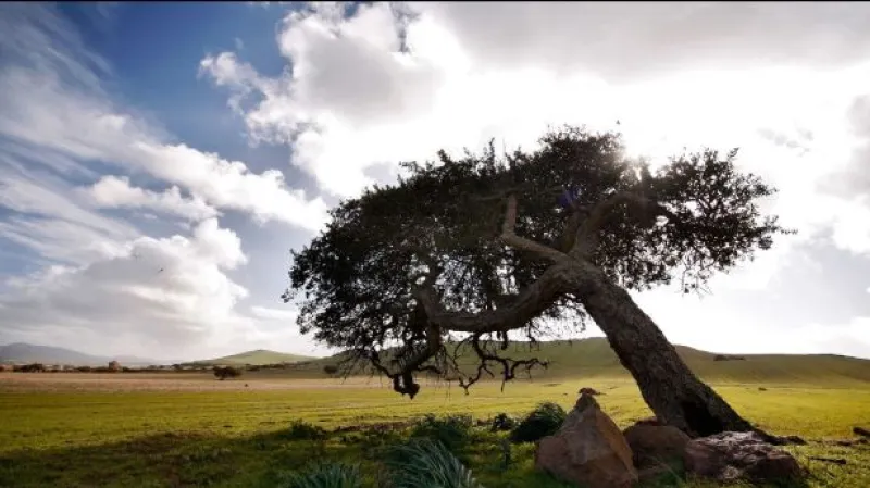 Odškodnění za zkaženou dovolenou?