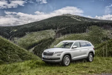 Malíř Vovkanič prohrál spor se Škodou Auto, Kodiaq a Karoq na trhu zůstanou