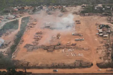 Deštný prales ve světě ubývá rychleji, nejvíc se situace zhoršila v Latinské Americe