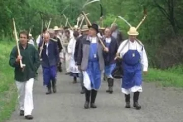 Horňácké kosení 2010