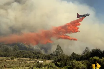 Střední Evropa se musí připravit na častější lesní požáry, upozorňují odborníci