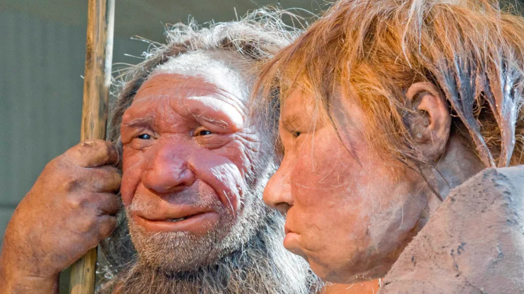 Neandertálci