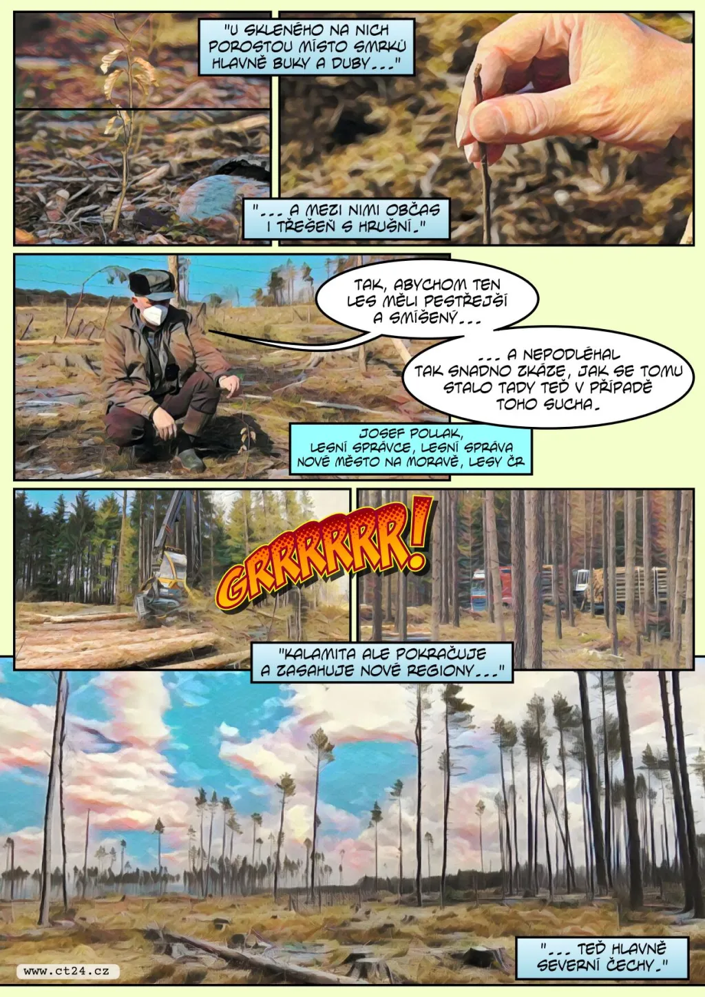 Lesníci loni zasadili 200 milionů stromů