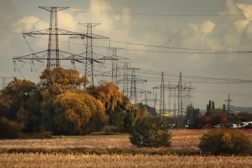 Omezit kácení kolem elektrického vedení se snaží distributor s vědci. Pod dráty sázejí nízký porost
