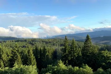 Drony i auta v klidových zónách. Národní parky loni vybraly na pokutách víc