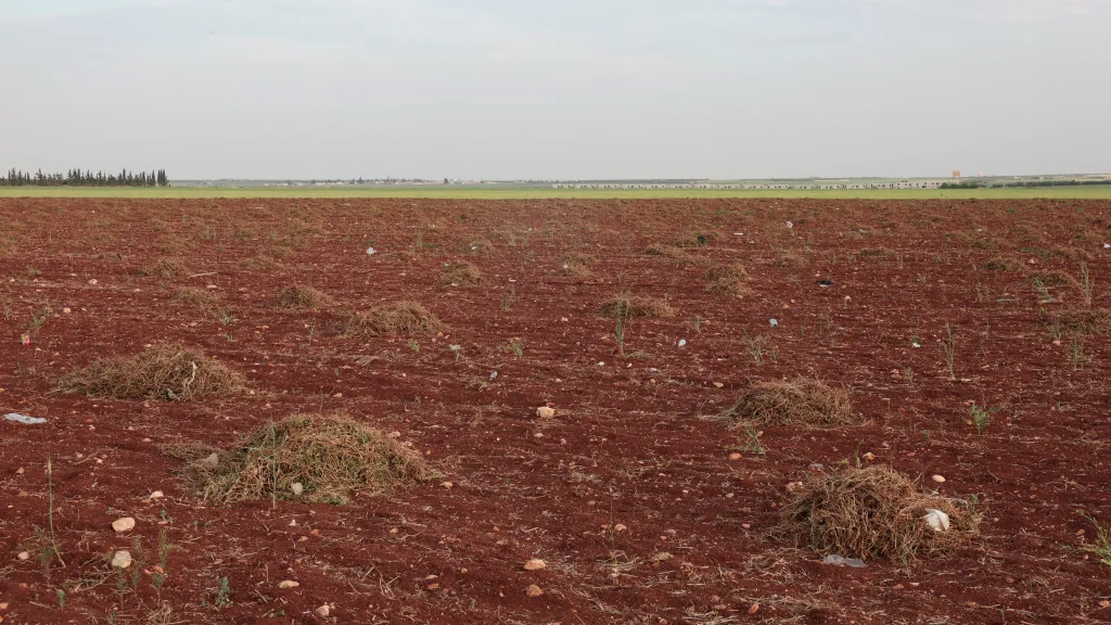 Sucho v Sýrii (snímek z května 2025)