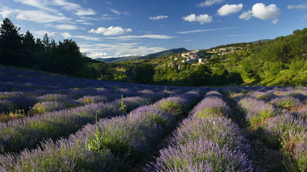 Provence