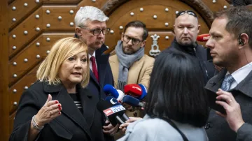 Alena Schillerová a Karel Havlíček (oba ANO)