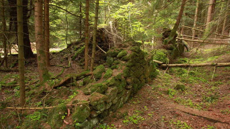 Pozůstatky osady Jezerní Chalupy v okresu Klatovy