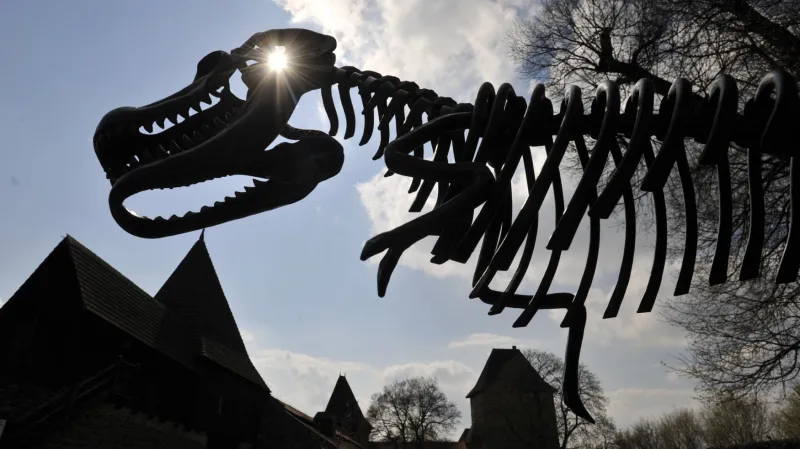 Plastika, hrad Helštýn