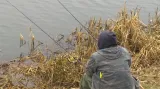 Rybář na Pardubicku