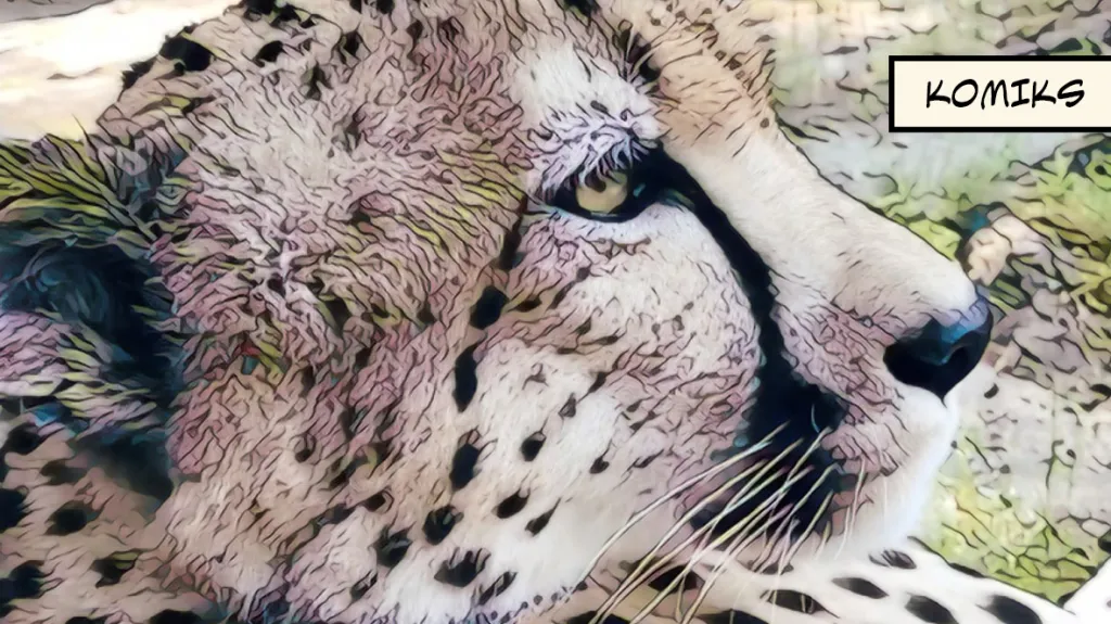 Klima a obchod ohrožují gepardy