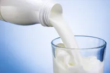 Tolerance mléka u lidí souvisí s hladomory a nemocemi, zjistila mezinárodní studie