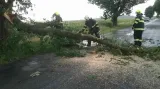 Následky řádění bouře na jižní Moravě