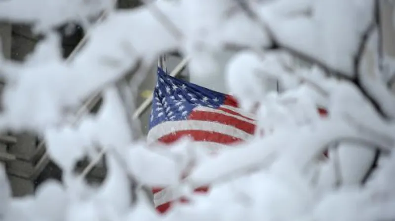 Sněhová kalmaita v USA