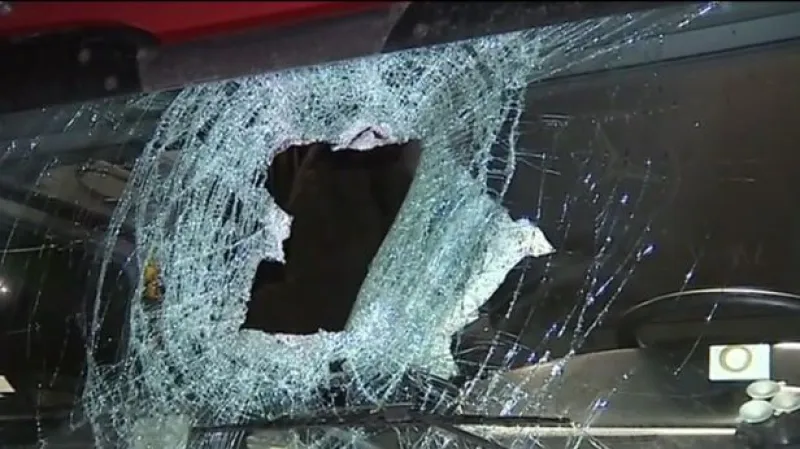 Policie dopadla muže, který házel polena na dálnici