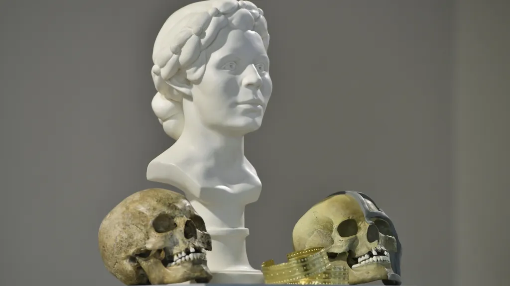 Podobizna princezny z Býčí skály