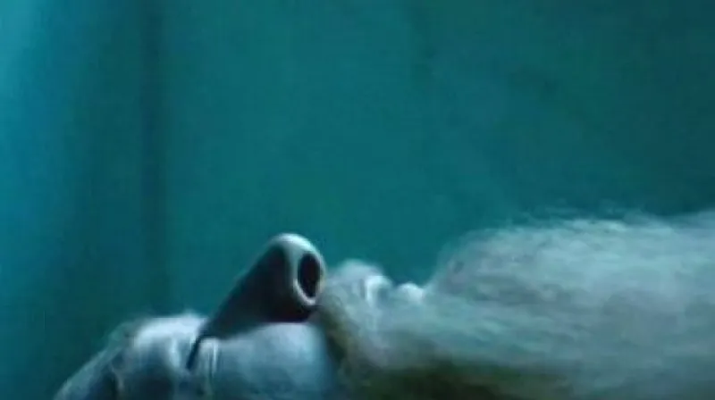 Reportáž Petra Viziny