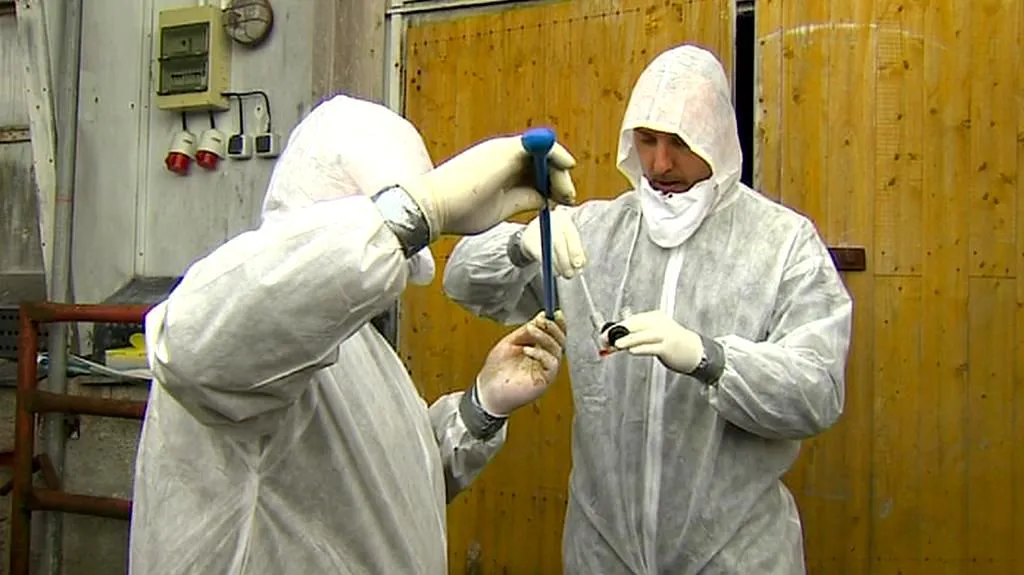 Veterinární cvičení