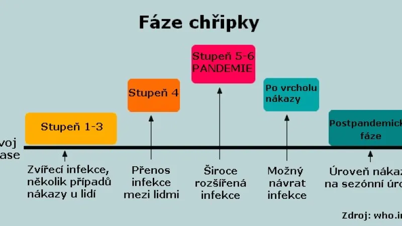 Fáze chřipky
