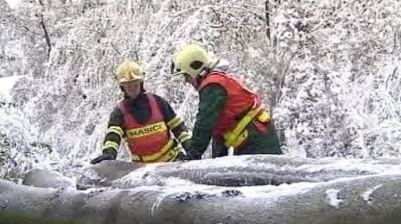 Kalamitní souhrn z celé republiky