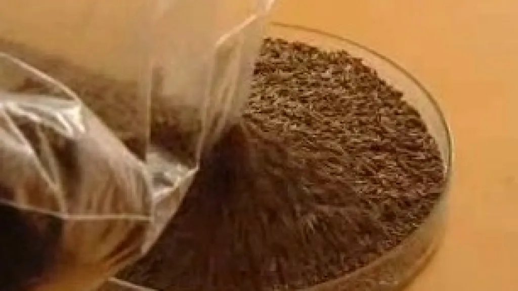 Kmín