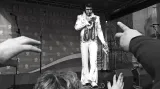 Elvis Presley show - Ostrava dnes