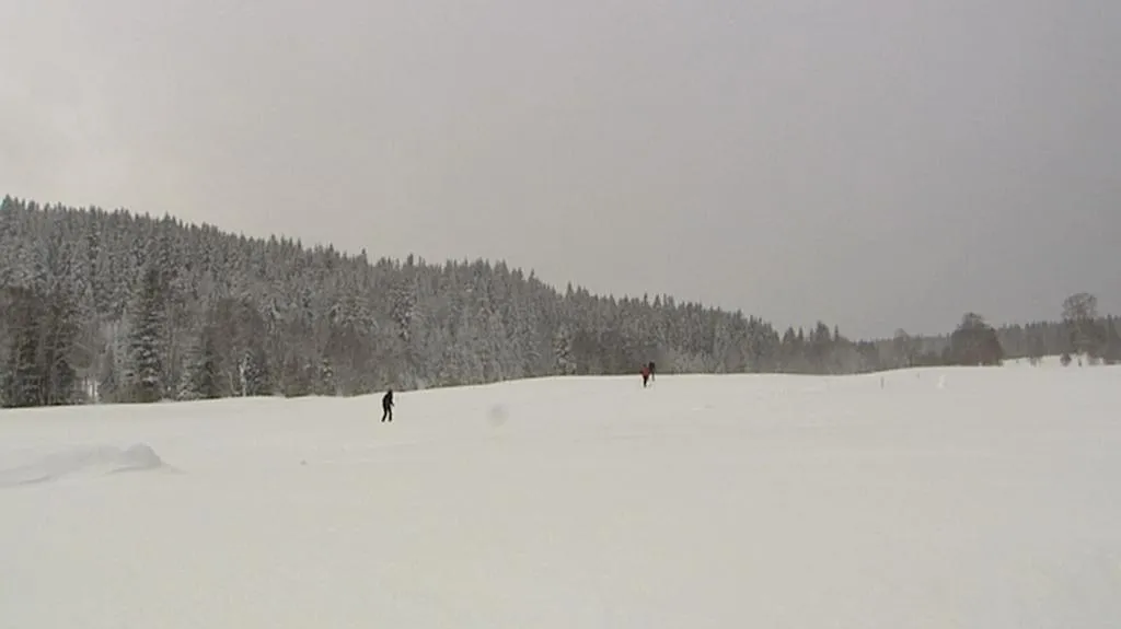 Šumava v zimě