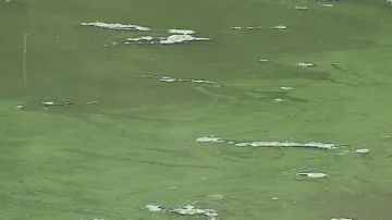 Vyčištění přehrady přijde na 45 milionů