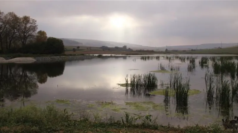 Obnovený rybník v Morkůvkách