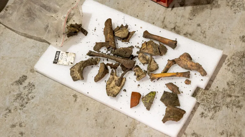Archeologické nálezy zpod Notre-Dame