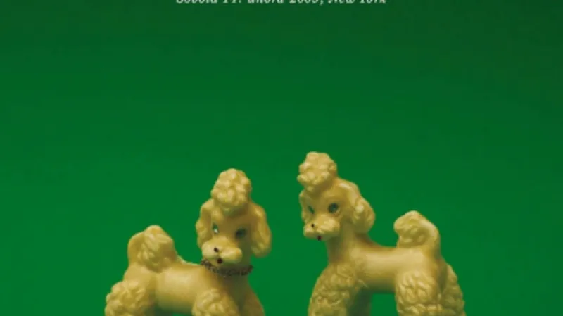 Leanne Shaptonová / Významné artefakty...