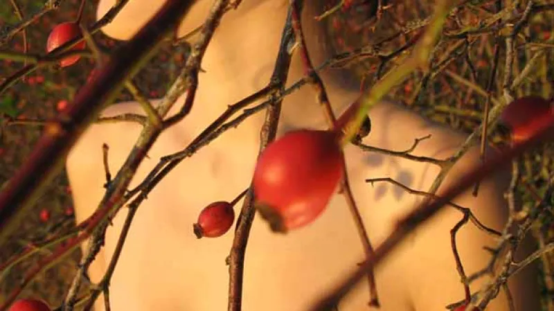 Mína Mládková - Šípková Růženka