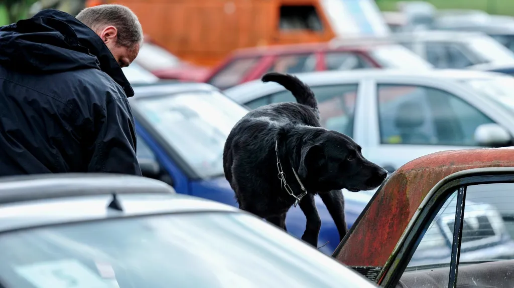 Mezinárodní mistrovství služebních psů ve vyhledávání drog a tabáku