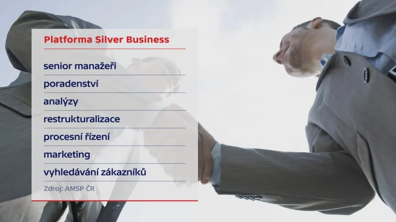 Silver Business