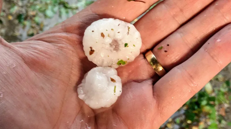 Velké kroupy padaly v uplynulých dnech i u Mnichova