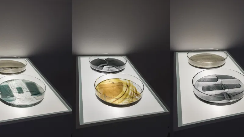 George William Bell / Vzorky abstrakce, 2017