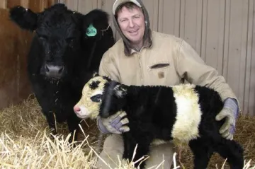 To není panda, ale tele