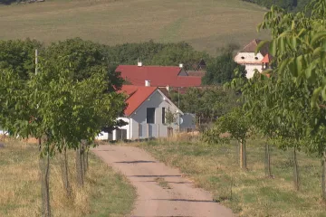 Vohančice porazily sucho. Pomohly rybníky, tůně i tisíce stromů