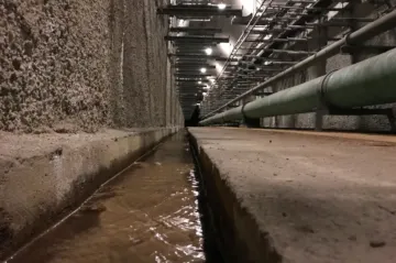 Zeleň na Havlíčkově náměstí v Praze bude zalévat voda z průsaků do kolektoru