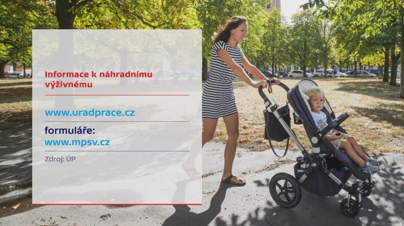 Informace k výživnému