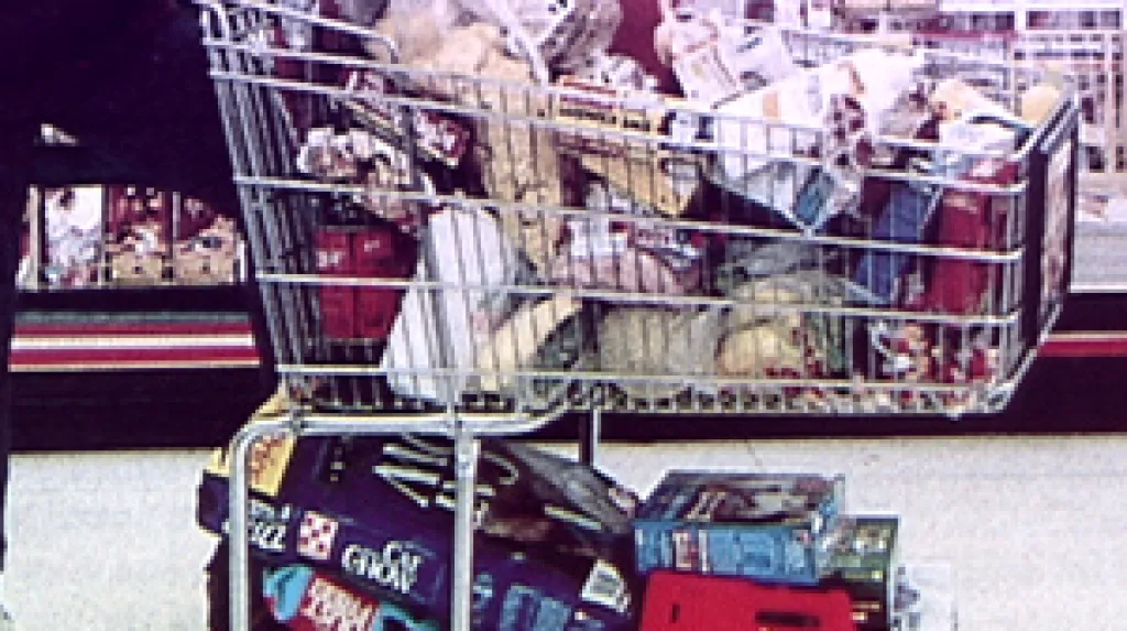 Plný nákupní košík