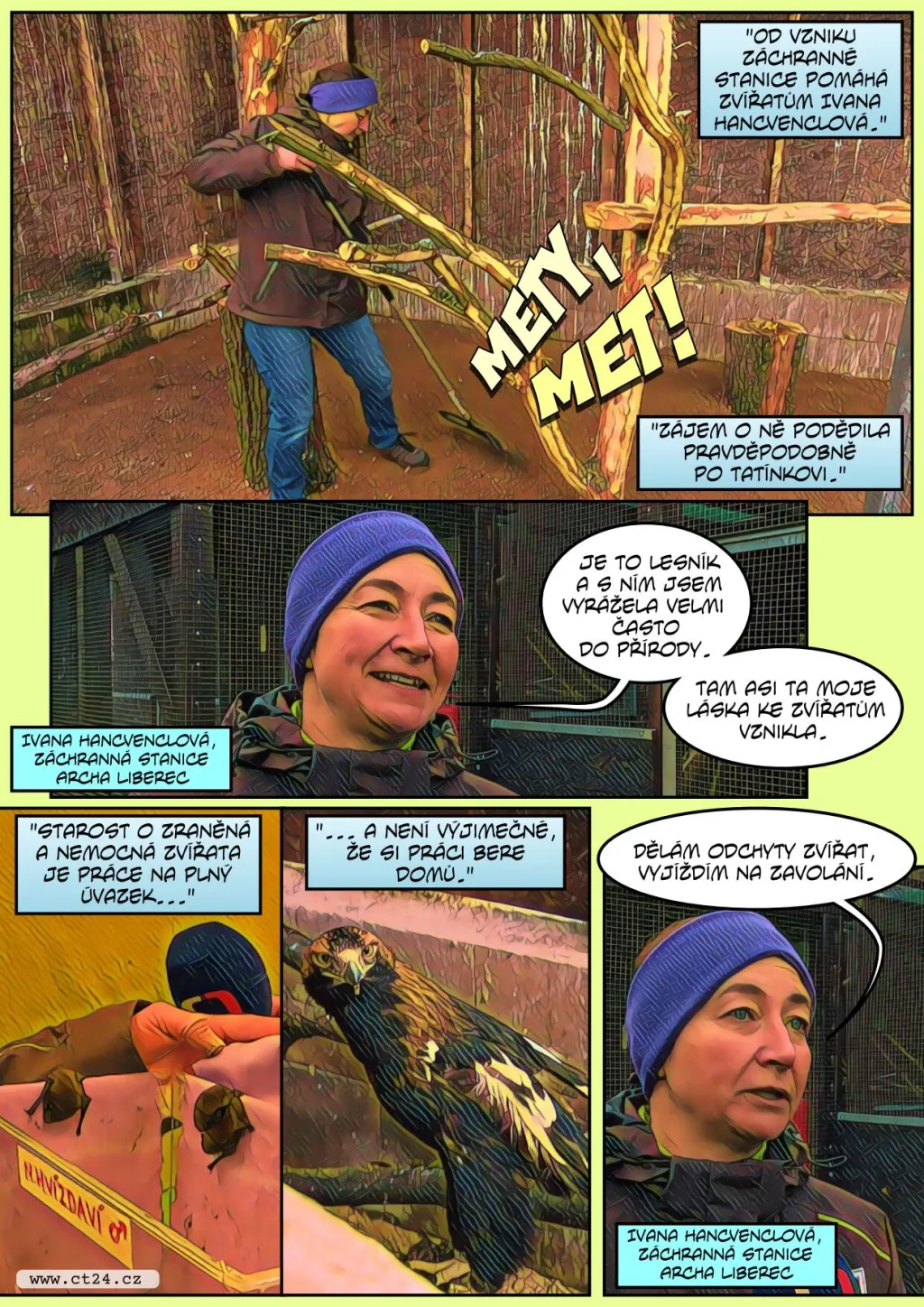 Unikátní operace poraněné labutě. Záchranná stanice Archa v Liberci pomáhá zvířatům