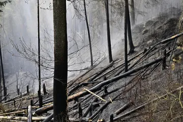 Hasiči zmenšili požár v Českém Švýcarsku na pět hektarů, letecké hašení skončilo