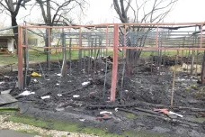 Policie navrhla obžalovat muže ze založení požáru, při kterém uhořelo osm koní