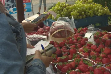 Stánky u silnic, které nabízejí burčák či ovoce, jsou pro řidiče stejným rizikem jako billboardy
