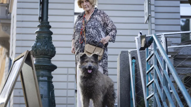 Regina Rázlová ve filmu Tancuj, Matyldo