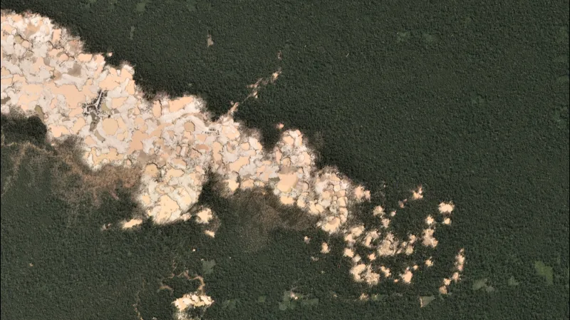 Deforestace Amazonie